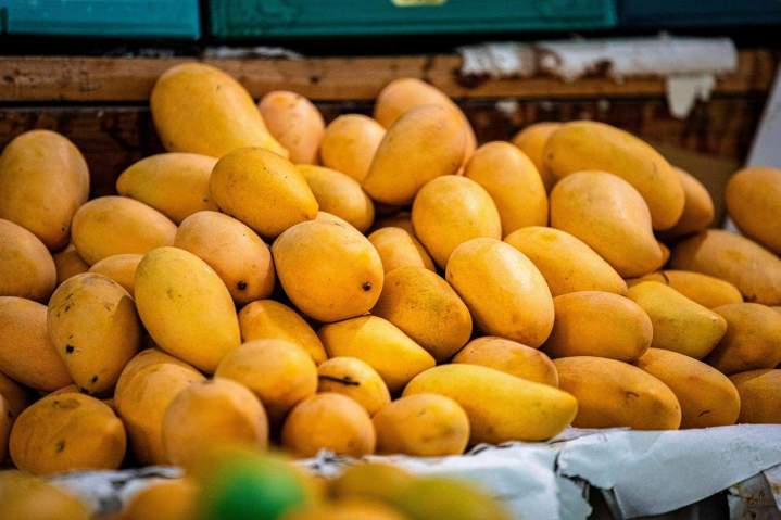 Mangoes in Bulk Orlando